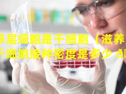 滋养层细胞是干细胞（滋养层细胞干细胞接种密度是多少 🐵 ）
